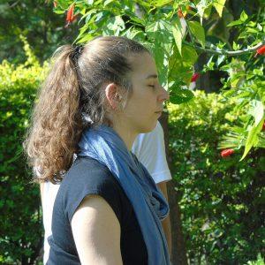 Mindfulness Meditation teacher Training