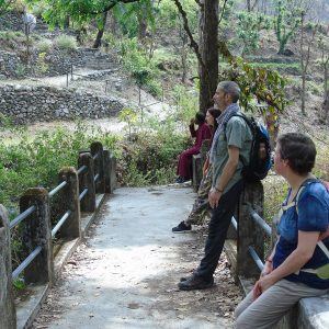 Nature Trip After 200 Hour Meditation Teacher Training