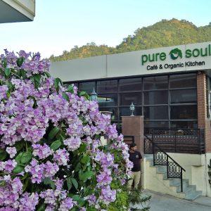 Cafe Near Yoga School