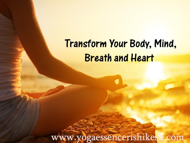 zen meditation zen meditation