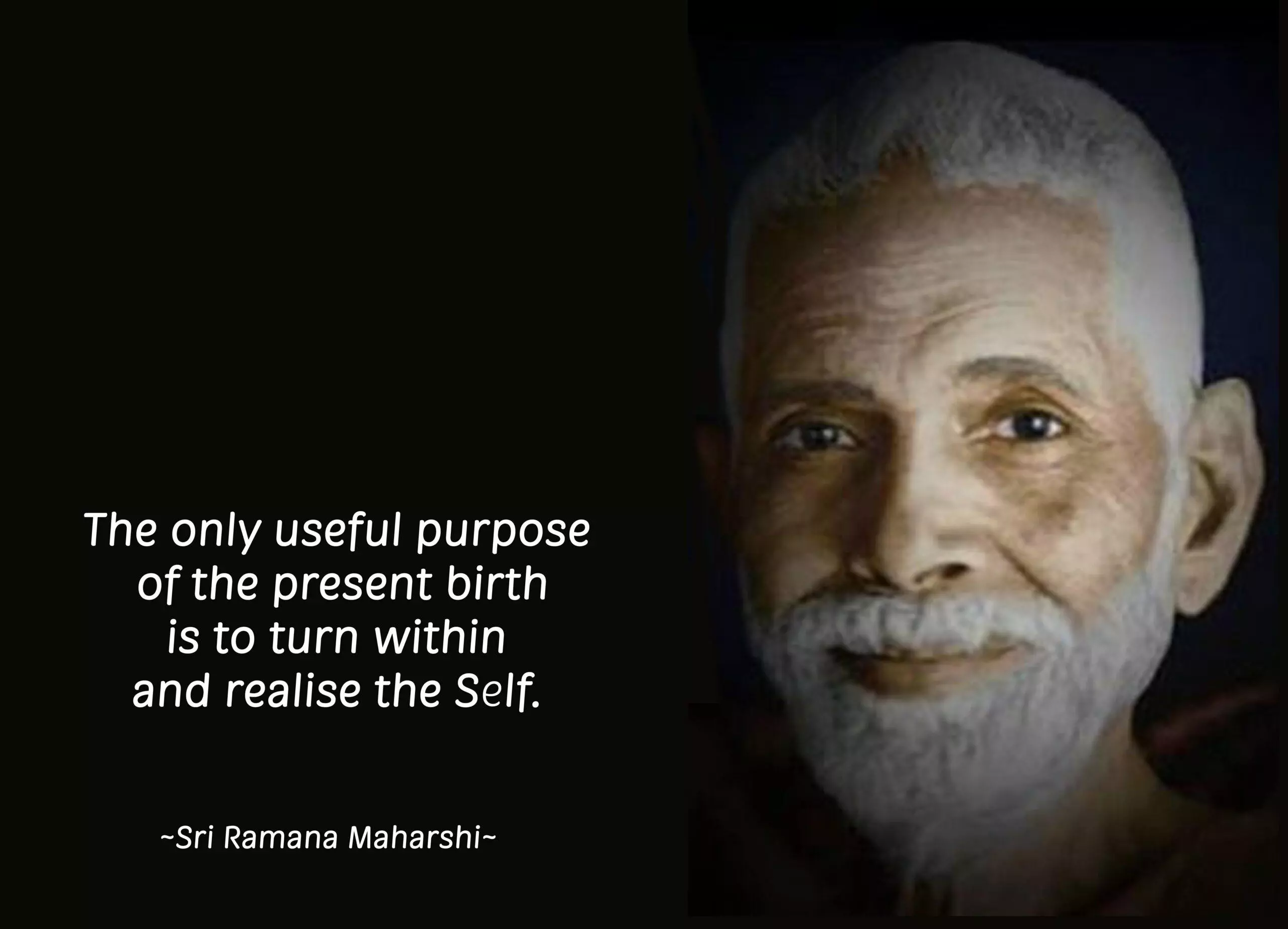 Who is In Image scaled